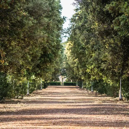 Masseria Profilo 8, Emma *